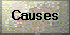 Causes